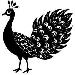 Cute Line Art Peacock Silhouette Black Vector Illustration