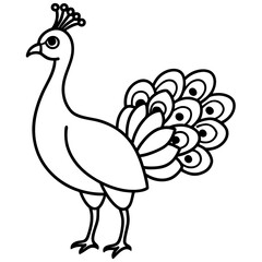 Cute Line Art Peacock Silhouette Black Vector Illustration