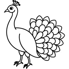 Cute Line Art Peacock Silhouette Black Vector Illustration