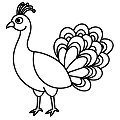 Cute Line Art Peacock Silhouette Black Vector Illustration