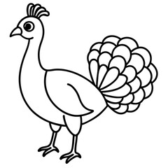 Cute Line Art Peacock Silhouette Black Vector Illustration