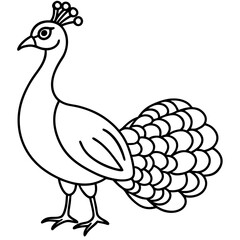 Cute Line Art Peacock Silhouette Black Vector Illustration
