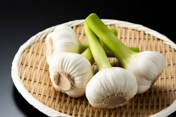 笊に盛った生ニンニク　黒バック