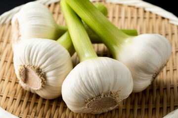 笊に盛った生ニンニク　黒バック