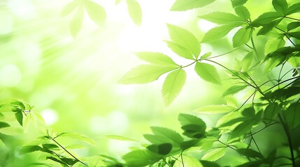 Naklejka premium Lush Green Leaves Basking in Sunlight