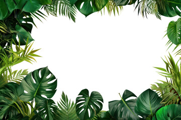 PNG  Tropical foliage border frame