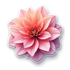Stunning Pink Dahlia Bloom: A Delicate Floral Masterpiece