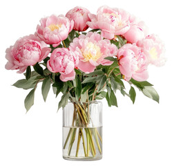 PNG Big fresh full blossoming bouquet of peony flowers peonies glass vase.