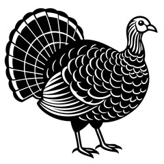 Cute Line Art Turkey Silhouette Black Vector Illustration