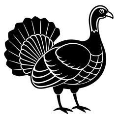 Cute Line Art Turkey Silhouette Black Vector Illustration