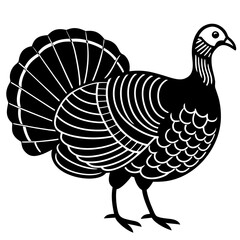 Cute Line Art Turkey Silhouette Black Vector Illustration