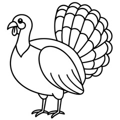 Cute Line Art Turkey Silhouette Black Vector Illustration