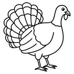 Cute Line Art Turkey Silhouette Black Vector Illustration