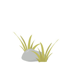 Rock and Grass