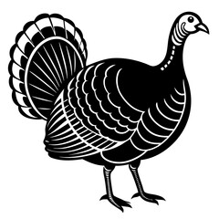 Cute Line Art Turkey Silhouette Black Vector Illustration