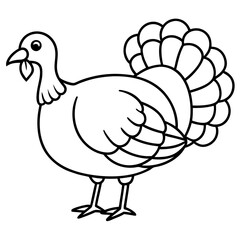 Cute Line Art Turkey Silhouette Black Vector Illustration