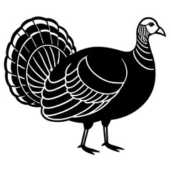 Cute Line Art Turkey Silhouette Black Vector Illustration
