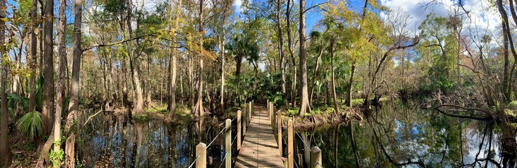 Wooden bridge over a freshwater river deep in the forest on a hiking trail through central Florida © Ryan Tishken
