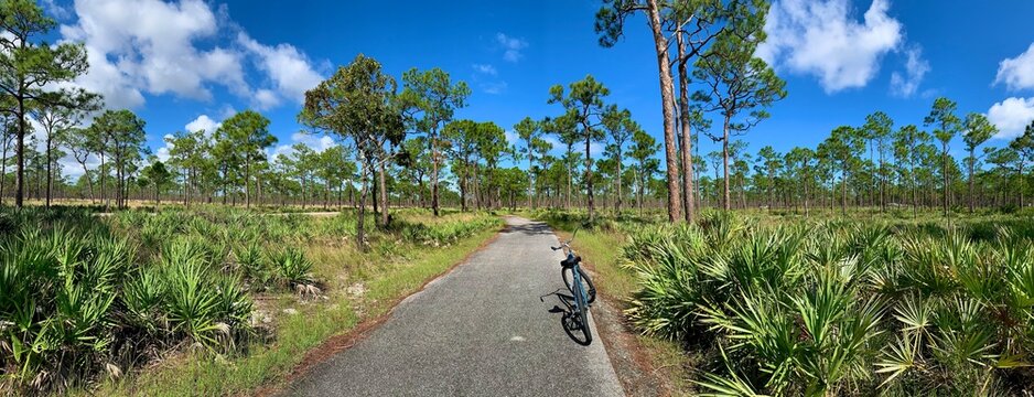 Panoramic view of bike path at Jonathan Dickinson State Park in Martin County, Florida.	
