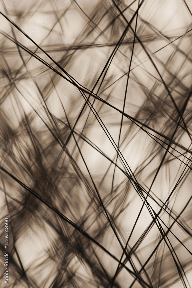 Leinwandbilder abstract sepia toned background with intertwined lines creating geometric shapes, ideal for minimali