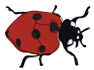 Ladybug in continuous line style on a white background.