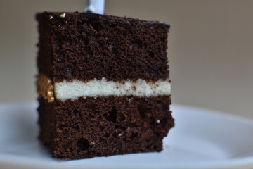 a piece of chocolate birthday cake. monochrome background. free space for text