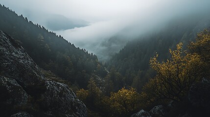 Enchanting Forest Landscape with Misty Valley and Dense Autumn Foliage : Generative AI