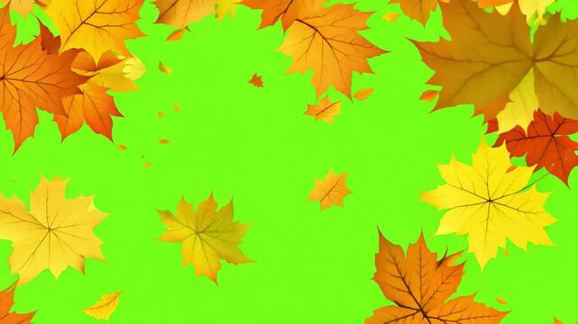 Autumn Leaves Falling on Green Screen: Vivid, golden, and orange autumn leaves gracefully fall against a vibrant green screen background.