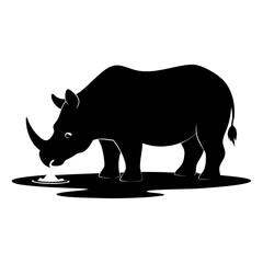 rhino on white background