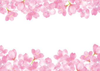 Fototapeta premium 水彩で描いた桜のフレーム