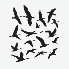 Sunset with Flying Birds Silhouette Vector