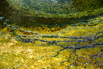 Close-up of the earth surface, Waimangu Volcanic Valley, Rotorua, North Island, New Zealand, Oceania.