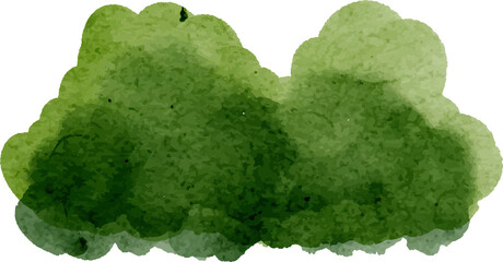 Watercolor Illustration of Green Bush. Grass. Flowery Bush.