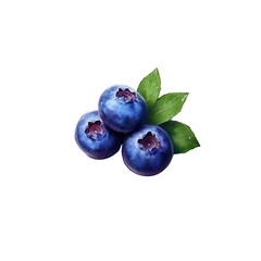 Obraz premium blueberry white background 
