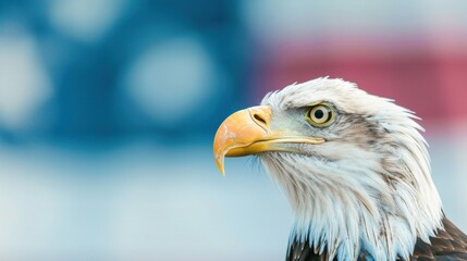 Obraz premium The bald eagle gazes confidently while the American flag billows softly in the background, symbolizing freedom and strength