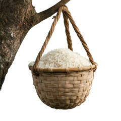 A basket of rice is hanging from a tree branch. transparent background