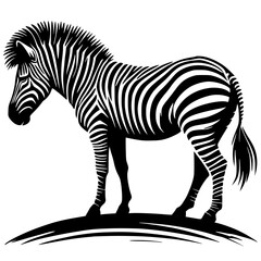 Beautiful zebra silhouette