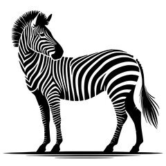 Beautiful zebra silhouette