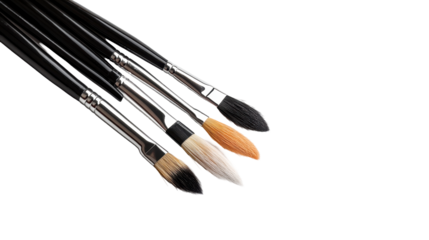 Close-up of various artist paintbrushes on a clean surface ready for creative work. transparent background