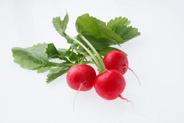 ラディシュ　野菜
