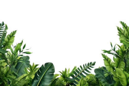 PNG Banana tree landscape border backgrounds outdoors nature.