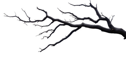Obraz premium Abstract Branch Silhouette: A stark, minimalist image of a bare branch against a backdrop, evoking a sense of isolation, resilience, and the passage of time.
