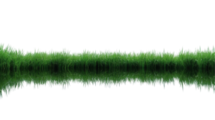 Lush green grass reflecting in water, creating a serene and tranquil natural setting. transparent background