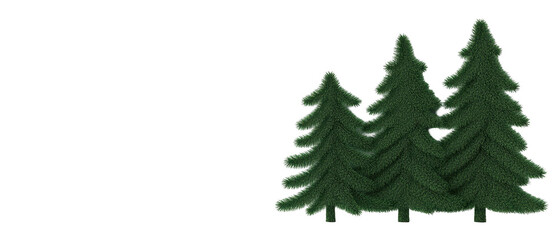 Lush green pine trees in serene forest setting. transparent background