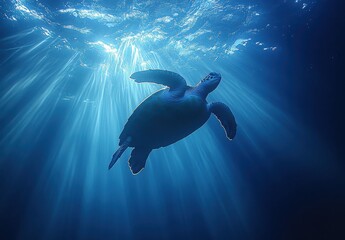 Naklejka premium Majestic Sea Turtle Swimming Gracefully Through Sunlit Ocean Beneath Waves in Tranquil Blue Environment