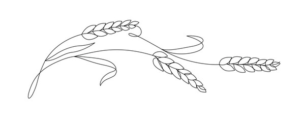 Ears of wheat drawn with continuous line in minimalism, abstract, bread, cereals, carbohydrates, healthy eating, symbol of prosperity and wealth, one line, editable vector contour