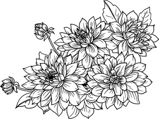 Dahlia flower corner border drawing