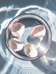 桜の花びらが浮かんだボウルと、透明感のあるコースティクスが揺れるグラフィック