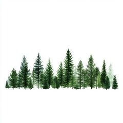 Fototapeta premium Lush evergreen forest growth nature landscape greenery serene environment panoramic view tranquility and vitality