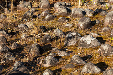 A viewpoint of the strangely shaped stone field that was created by nature at Phu hin rong kla National park,Thailand.